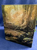 Book Nook large #5 Sunlight Forest