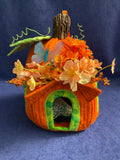 Fairy Cottage - Pumpkin House