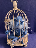 Gremlin in Cage