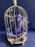Gremlin in Cage