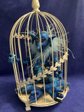 Gremlin in Cage